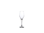 Ella Champagne Flute 23cl/8.1oz -Pack 6