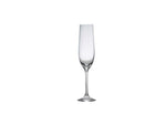 Gusto Champagne Flute 19cl/6.75oz -Pack 6