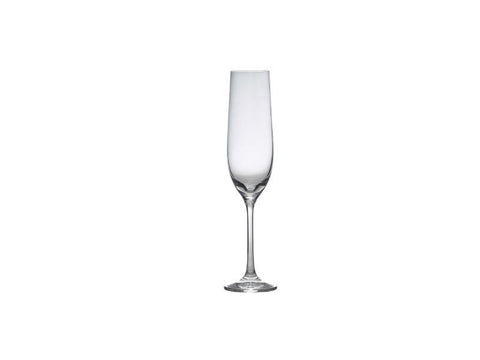 Gusto Champagne Flute 19cl/6.75oz -Pack 6